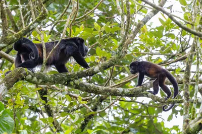 Costa Rica